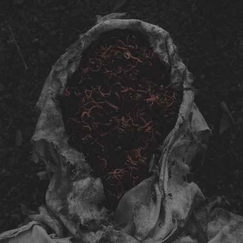 GORRCH - Stillamentum DIGI